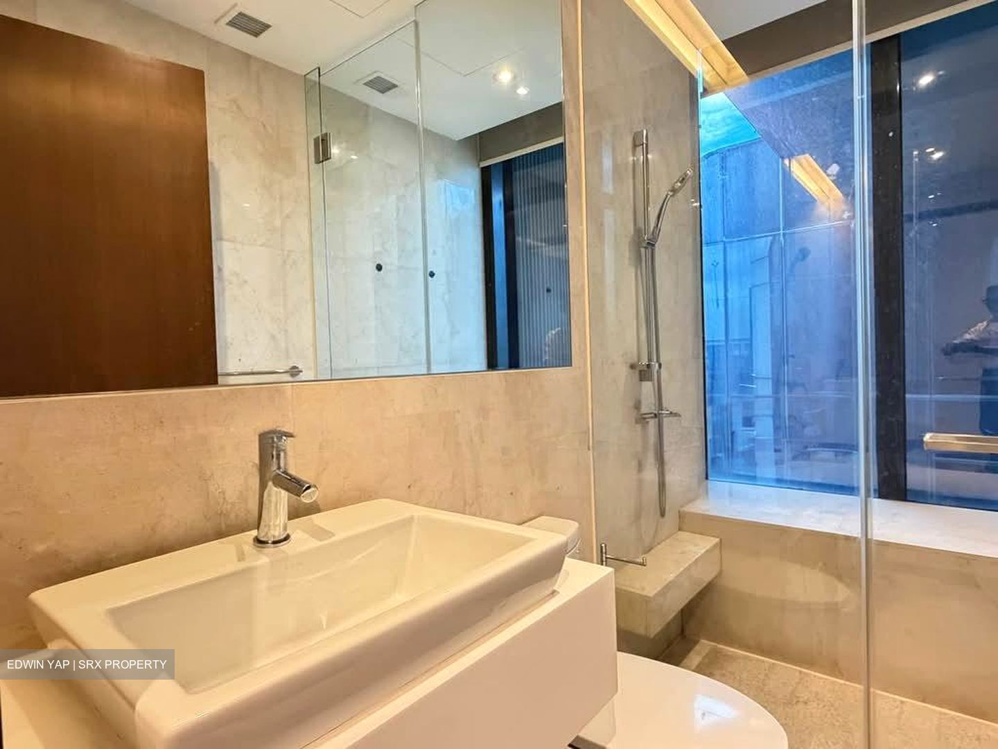 The Scotts Tower (D9), Condominium #547856551